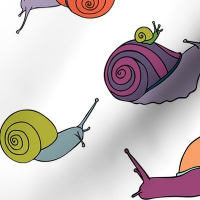 large - snails in rainbow on white