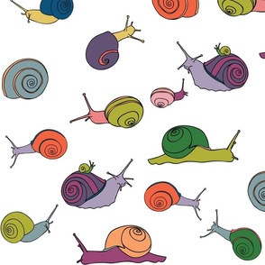 large - snails in rainbow on white