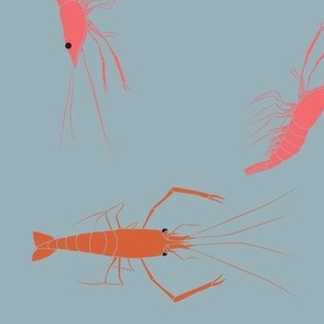 large - shrimp on grey blue