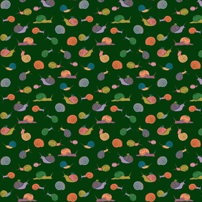 small - snails in rainbow on dark green