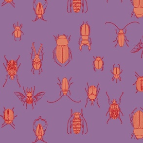 large - beetle in pink on lavender