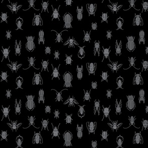 medium - beetles in grey on black
