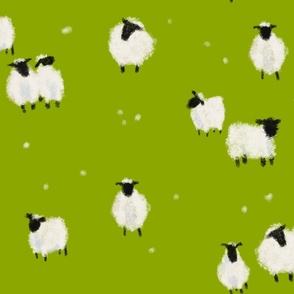 Hand Drawn Sheep on Green