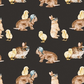 Cool Bunnies and Chicks on Black 12 inch