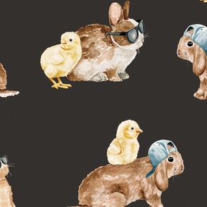 Cool Bunnies and Chicks on Black 24 inch