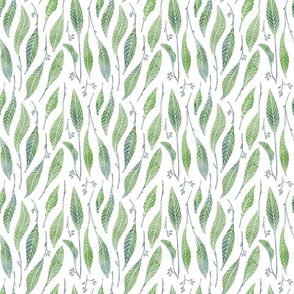 Long Eucalyptus leaves. Small print. Green.