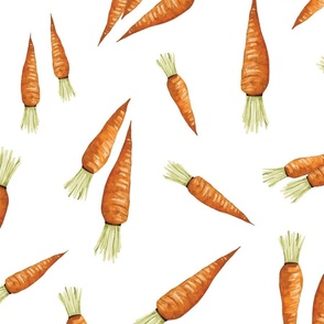 Watercolor Carrots, Vegetable Garden 24 inch