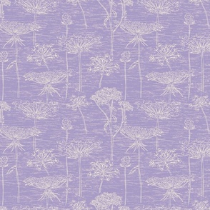 Lavender Queen Anne's Lace