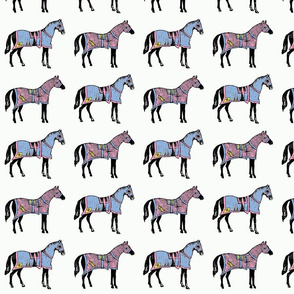 blankethorses