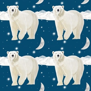 Polar Bear Night Sky