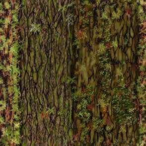 Mossy Tree trunks - natures Camo