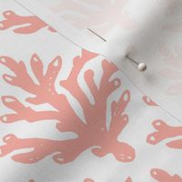 New! Smaller Size Coral Branch Block Print - Soft Pink