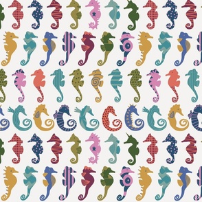 Rainbow Seahorses On A White Background - Medium