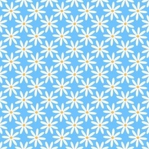 mini daisies - blue