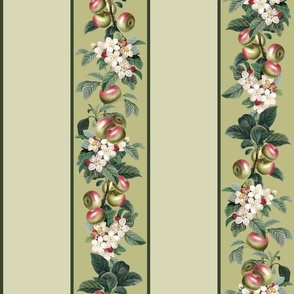 APPLE STRIPE - APPLE ORCHARD COLLECTION (GREEN)