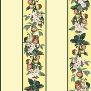 APPLE STRIPE - APPLE ORCHARD COLLECTION (YELLOW)