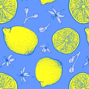 Lemons, lemons, lemons