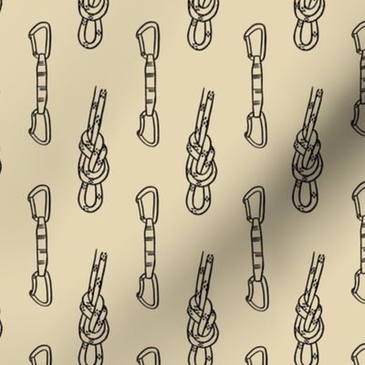 Small - Climbing ropes and quickdraw for rock lead climbers pattern design