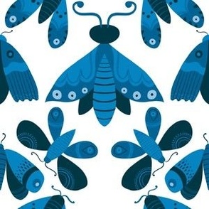 Butterflies blue