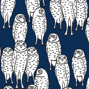 large - black and white owls on dark blue