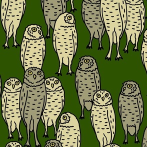 large - brown owls on green