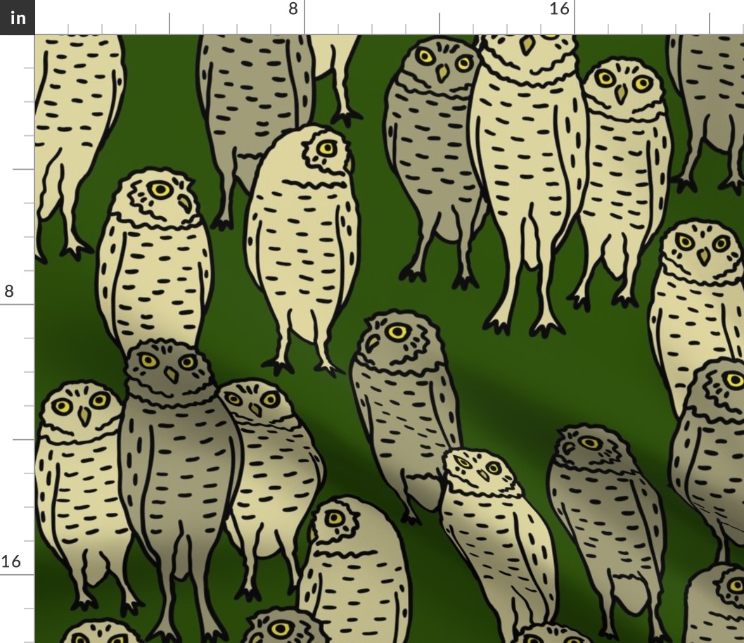 large - brown owls on green