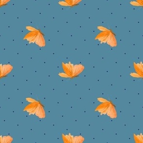 orange butterfly on blue with dots Rotated