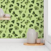 moths and butterflies - avocado green - shw1006 a