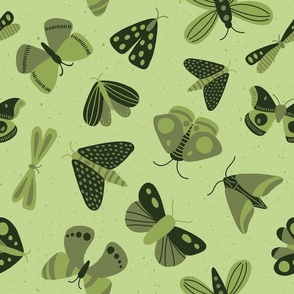 moths and butterflies - avocado green - shw1006 a