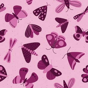 Moths and butterflies - magenta and pink - shw1006 h