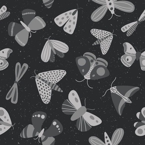 moths and butterflies - dark gray - SHW1006 T