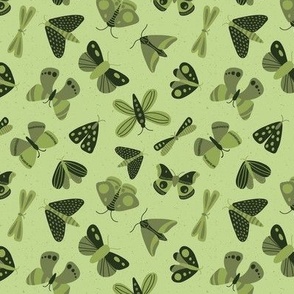 moths and butterflies - avocado green - small scale - shw1006 aa