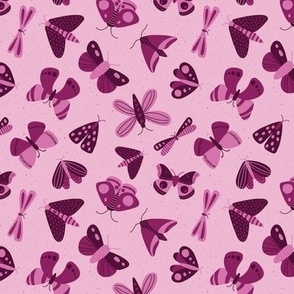 moths and butterflies - pink - shw1006 hh