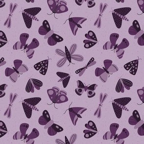 moths and butterflies - purple - small scale - shw1006 ee