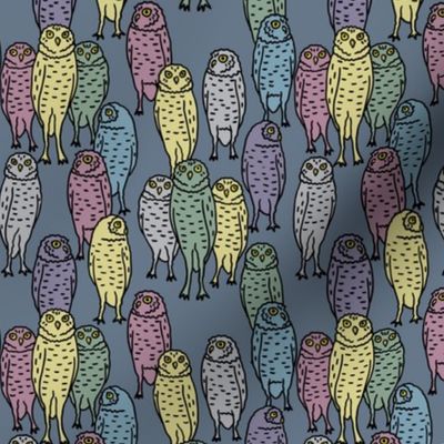 small - pastel owls on blue