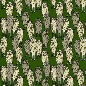 medium - brown owls on green