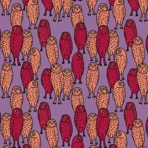 medium - pink owls on purple