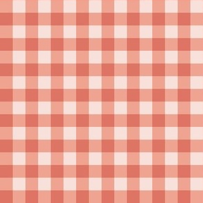 Spring Pink Gingham Small Scale
