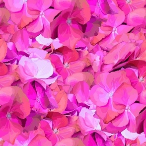 Hydrangea (Pink)