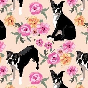 small print // Boston Terrier dogs Pink and Peach flowers 