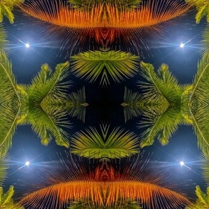Palm Trees Jamaicamon
