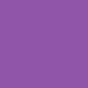 Pretty Boho Purple plain coordinate
