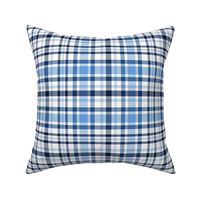 Shades of Cornflower Blue Fine Cottage Plaid