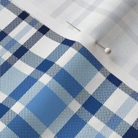 Shades of Cornflower Blue Fine Cottage Plaid