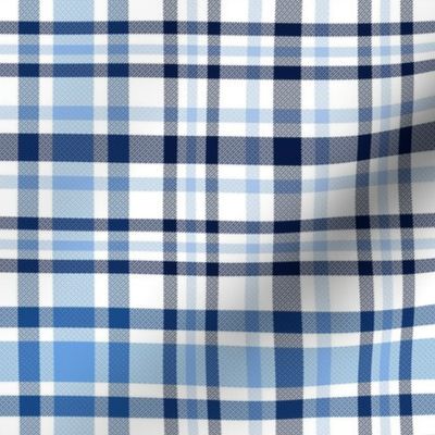 Shades of Cornflower Blue Fine Cottage Plaid