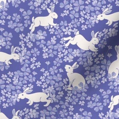 White Bunny Rabbits Hoping in a Field of Purple and Lilac Clover and Flowers