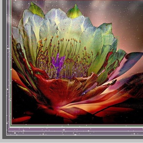 Night Bloom Cactus Flower Fantasy 2