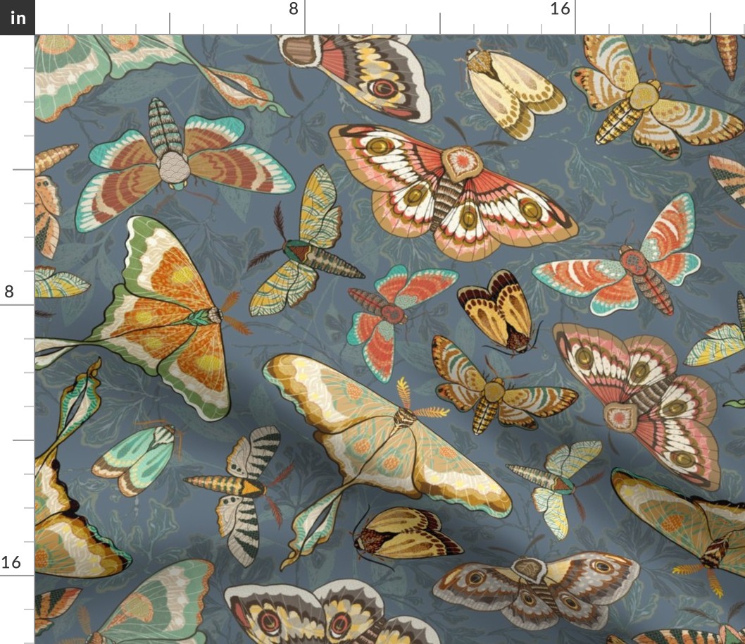 Butterflies and Moths on a gray-blue background, larger scale