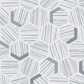 Hexagon Line Jumble in Grey