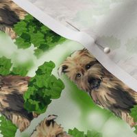 norfolk_terrier_seamless_pattern